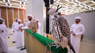 In 2023, a prized falcon fetched Dh600,000