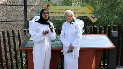 Dr Jane Goodall with Marjan Faraidooni, chief of education and culture, Expo City Dubai, at Expo City Dubai for the Jane Goodall pollinator garden conservation project launch. Chris Whiteoak / The National