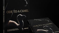 Ode to a Camel blends fine art photography, shot by Sheikha Latifa bint Mohammed, with poetry and reflective essays. Sheikha Latifa / Instagram