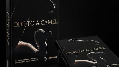 Ode to a Camel blends fine art photography, shot by Sheikha Latifa bint Mohammed, with poetry and reflective essays. Sheikha Latifa / Instagram
