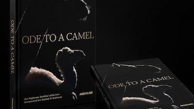 Ode to a Camel blends fine art photography, shot by Sheikha Latifa bint Mohammed, with poetry and reflective essays. Sheikha Latifa / Instagram