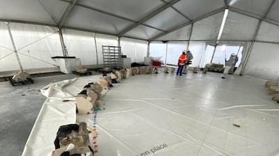 Architects have mapped out sections of the cathedral with retrieved stone. ABC News