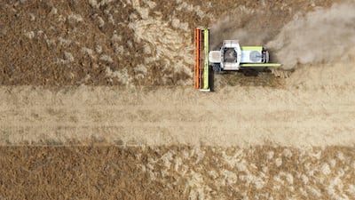 A combine harvester crawls through a parched field at a farm in Bury St Edmunds, eastern England. Dry land has annihilated UK crops for the past three years. AFP