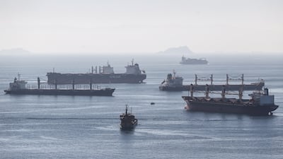 Cargo ships carrying grain from Ukraine are anchored as they wait in line for the inspection on the Marmara sea off Istanbul. EPA