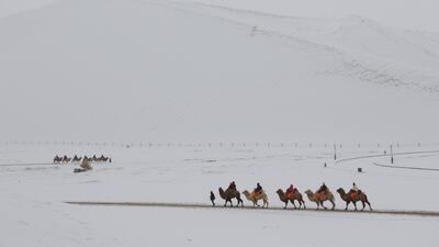 Tourists ride camels as they visit the snow-covered desert at Mingsha Shan in Dunhuang, Gansu province, China. Reuters