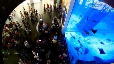 The 24-hour shopping initiative proved a big hit, with malls packed into the early hours.