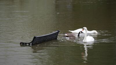 Swans swim past a bench submerged in flood water in Wellingborough, Northamptonshire. PA