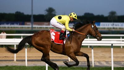 Postponed and Andrea Atzeni will team up again at Meydan for the Dubai World Cup Super Saturday. Pawan Singh / The National