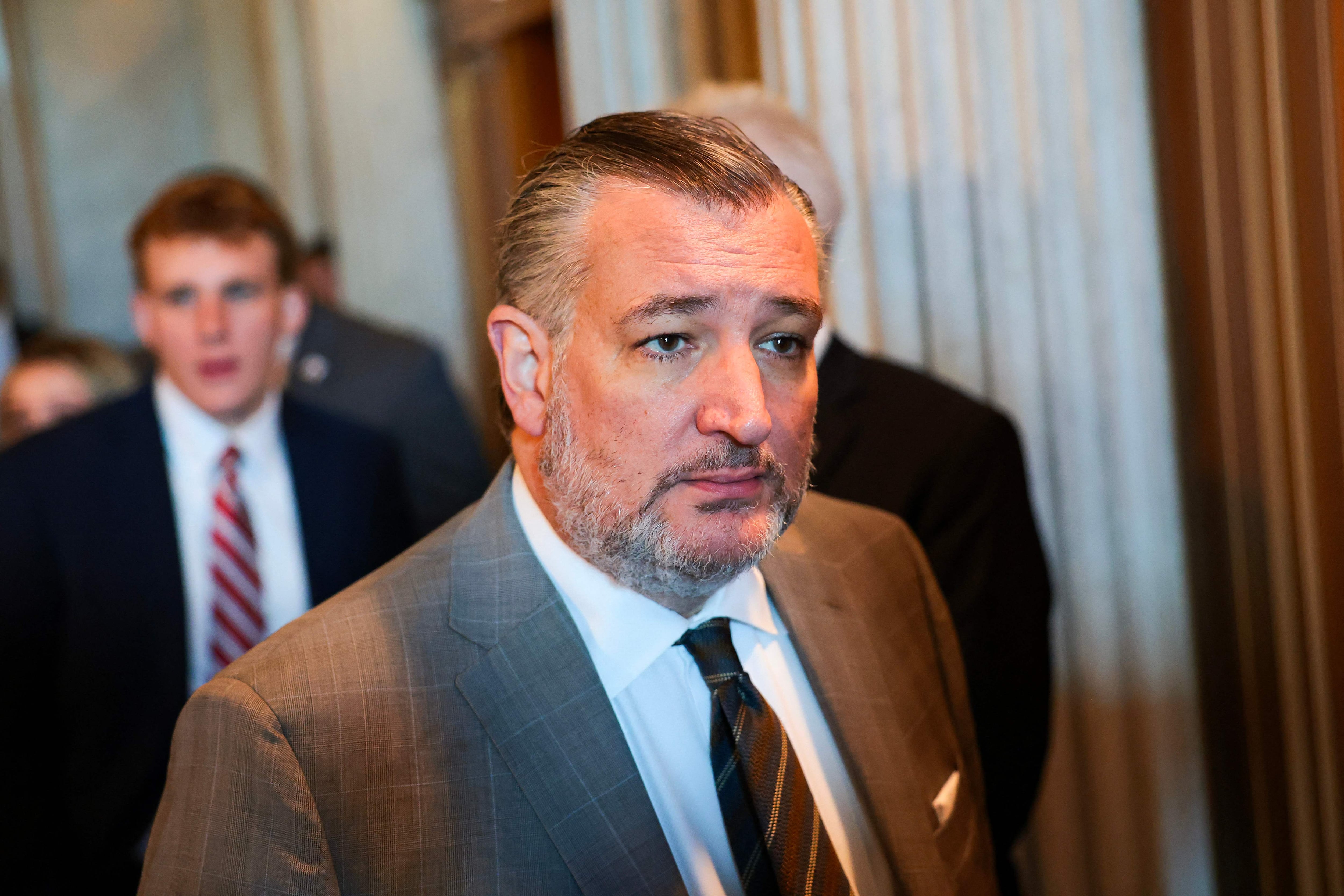 Image linked from the original feed: US senator urges action on Muslim Brotherhood influence operations