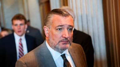 Republican Senator Ted Cruz of Texas. Getty Images via AFP