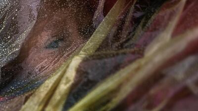 A toddler is held by his mother under a poncho during rainfall at a shelter in Tijuana, Mexico. Reuters