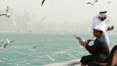 Residents feeding seagulls as winds swirl along the Abu Dhabi Corniche. Khushnum Bhandari for The National