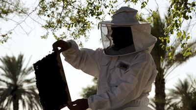 Honey from Al Najeh Honey sells for up to Dh370 per kilogramme. Chris Whiteoak / The National