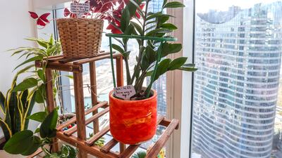 The couple enjoy plants and also have a small balcony
