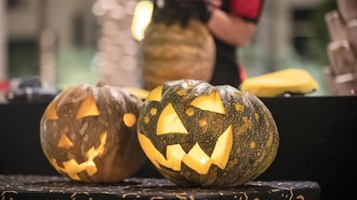 There are pumpkins galore at the even thwich runs until October 31.