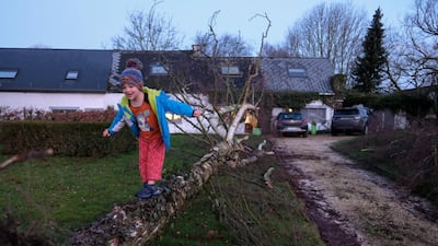 A child plays on a fallen tree after the passage of storm Ciara, in Namur, Belgium. EPA