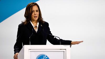 US Vice President Kamala Harris said her previous experience as a prosecutor had showed her the dangers of the internet. AFP