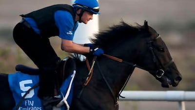 Skysurfers will hopefully be Godolphin's tonic after a disappointing St Leger.