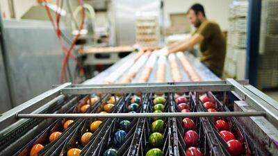 Chicken eggs are coloured for Easter at Baumeister Frischei egg and chicken farm. Sascha Schuermann/ Getty Images