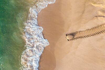 'Back to Adventure' by Qasim Al Farsi, Oman, captures a green turtle from above