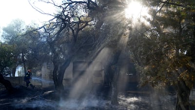 The burnt yard of a house after a wildfire near Megara town, west of Athens, Greece. The fire broke out in the hills outside the town, prompting a new, but limited, round of evacuations. AP Photo
