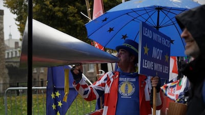 Anti-Brexit supporter Steve Bray has braved all weathers for his protest. AP