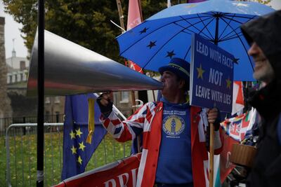 Anti-Brexit supporter Steve Bray has braved all weathers for his protest. AP