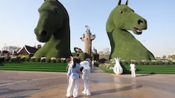 Dubai Miracle Garden comprises several installations made using millions of flowers and plants. Chris Whiteoak / The National