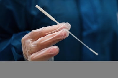 The cover does not include the cost of a PCR test. Bloomberg