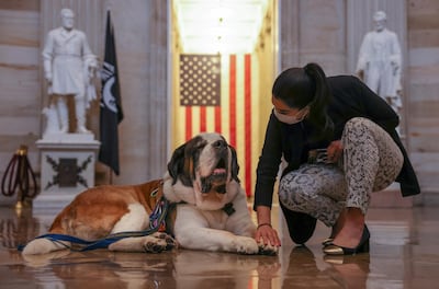 Officer Clarence and his partner Deputy Police Chief William Gordon were one of seven teams who were invited by the K9 First Responders to the service at the US Capitol. Reuters
