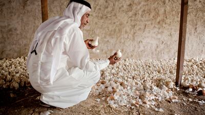 Khalfan Al Dhagmani poses for the camera with some locally grown onions on a traditional Emirate farm in Wadi Al Tuwa.