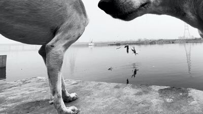 Highly Commended: 'Ohhhhhhh' by Dimpy Bhalotia.