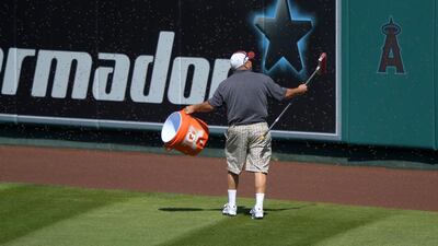 A reader passes on some tips about killer bees from apiarist John Potom, who recently tackled a swarm at a baseball game. Mark J Terrill / AP