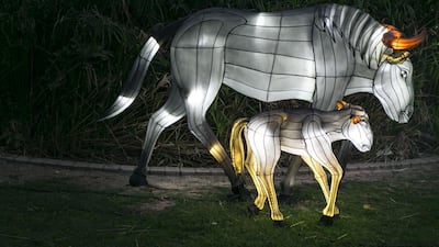 Visitors to the soft opening night were treated to live performances by international, regional and local artists and acrobats from a floating stage on the park’s lake. Reem Mohammed / The National