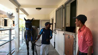 The camp caters to children of all riding skills aged six to 12, as all rides are guided