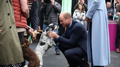 The Prince of Wales pets a dog on Thursday, as he visits the Trademarket outdoor market in Belfast. EPA