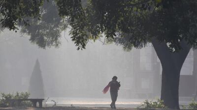 An Indian woman walks early in the morning amid heavy smog in the garden of Humayun's Tomb in New Delhi. AFP