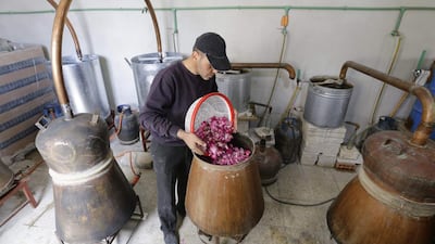 A Syrian man distils damask roses.