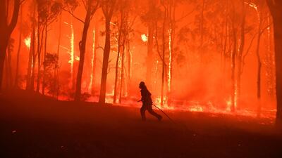 Recent fires caused havoc across Australia. EPA