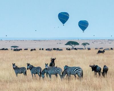 Go on an off-season safari in Kenya. Photo: Unsplash / Surita Budiman