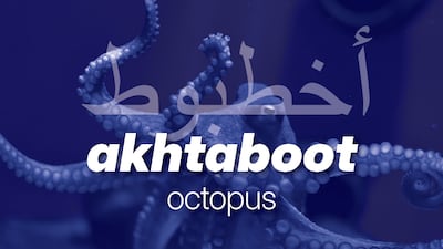 The Arabic word for octopus is akhtaboot.