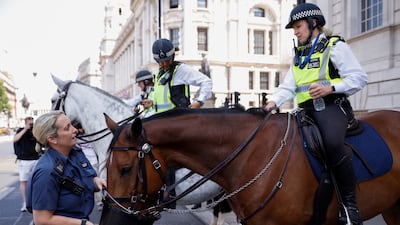 Zorro the police horse drinks water from a bucket to cool down during hot weather, on Whitehall in London. Reuters