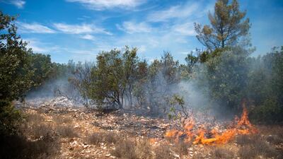 Fire rages through an area of woodland in Artigues, south-eastern France on July 27, 2017. Bertrand Langlois / AFP Photo