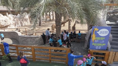 Antonie Robertson / The National