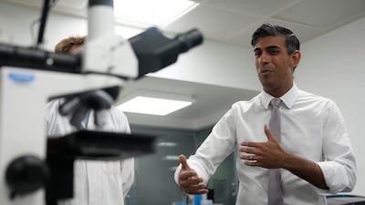 UK Prime Minister Rishi Sunak has been pushing British tech and AI programmes to investors abroad. Getty Images