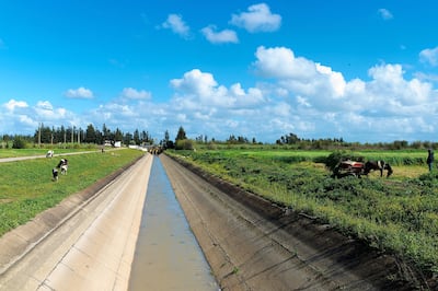 Agriculture is one of the key sectors that ADFD is supporting. Photo: ADFD