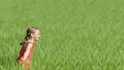 Science is starting to back up the hygiene hypothesis', which suggests that children who play outside - and perhaps dirty their hands and knees - can have healthier immune systems and a lower risk of allergies.