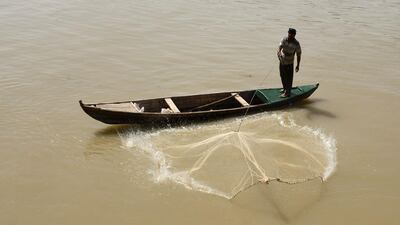 A fisheman throws his net in the Euphrates river, in Iraq's Shatrah district of the southern Dhi Qar province. AFP