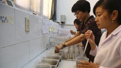 Scientist Nguyen Thi Yen, centre, helps her colleagues to collect mosquito pupae at Pasteur Institute in Nha Trang, Vietnam. All her mosquitoes have been intentionally infected with bacteria called Wolbachia, which essentially blocks them from getting dengue and spreading it to people. Na Son Nguyen / AP Photo