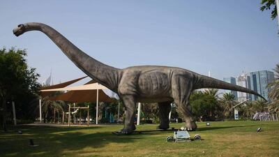 Photo by Jessica Hill